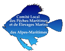 CLPMEM de Nice